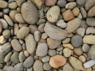 rock stone in garden,pebbles on the beach