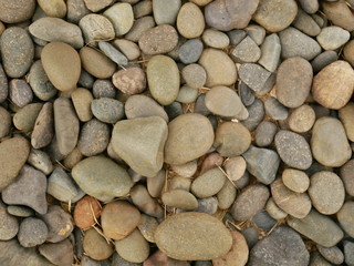 pebbles on the beach,rock stone texture background