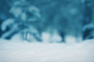 Beautiful tree in winter landscape in late evening in snowfall