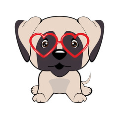 Card of a Valentine s Day. Pug Dog in a striped cardigan, in a fun pink heart glasses. Vector illustration.