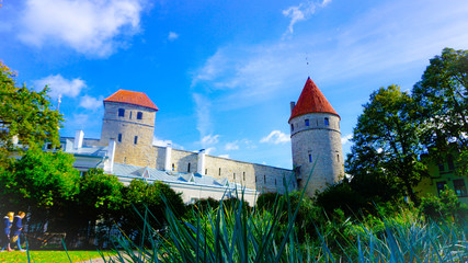 Fototapeta premium Estonia old town
