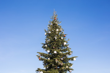 Big festive Christmas tree against blue sky