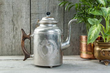 Old silver kettle and green plants