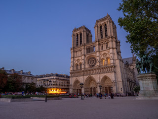 Fototapeta na wymiar Notre Dame de Paris, France at dusk