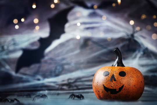 Halloween card with funny pumpkin head, spider, web and flying bat on mystical background.