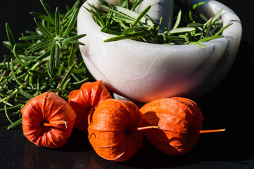Rosmarin - Rosmarinus officinalis