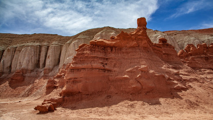 Fototapeta premium Details of the landscape surround the campgrounds in Goblin Valley State Park at the north end of Capitol Reef National Park in Utah
