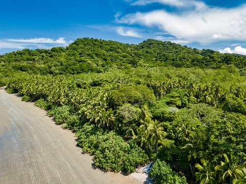 A lone fishing skiff sits at the edge between the ocean and the jungle on a Costa Rican beach seen from an aerial drone image
