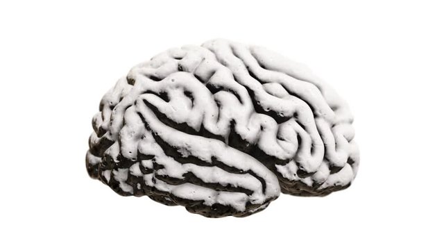 The human brain with Alzheimer's disease. isolated on white background seamless loop