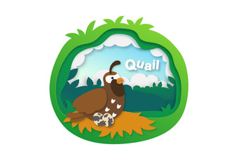 Alphabet Letter Q-quail,paper cut concept vector illustration