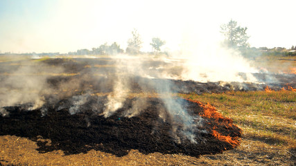 Forest field fire and heavy smoke. Flame spreading all over the field, nature enviroment danger.