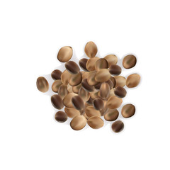 hemp seeds isolated on white background, top view