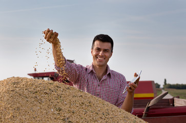 Farmer holding soybean grains in hand
