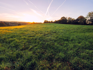 Early Autumn countryside morning,Northern Ireland