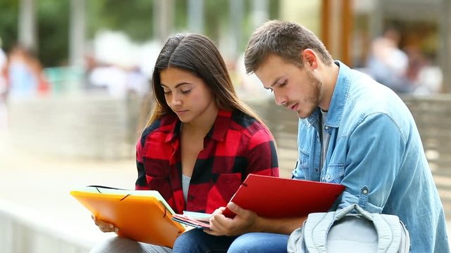 Two studious students concentrated memorizing notes in a park