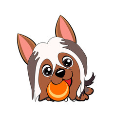 Vector cartoon style drawing of a playful puppy playing with a tennis ball.