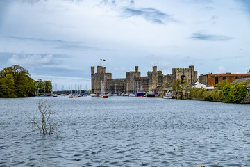 Castle and marina at Caernarfon, North Wales