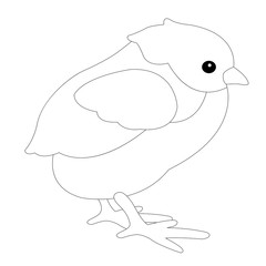  bird chicken vector illustration  coloring  book  profile 