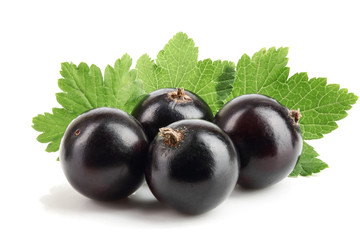 black currant with leaf isolated on white background