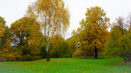 Autumn season in the city