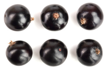black currant isolated on white background. Top view. Flat lay pattern. Set or collection