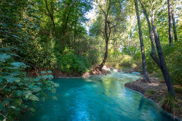 Fototapeta na wymiar L'acqua blu. Parco fluviale sorgenti del Fiume Lavino.