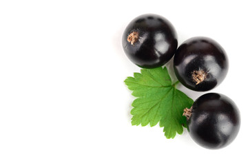 black currant with leaves isolated on white background with copy space for your text. Top view. Flat lay pattern