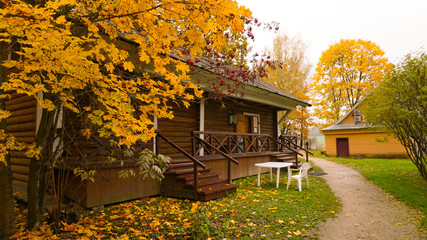 Autumn season in the city