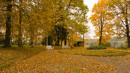 Autumn season in the city
