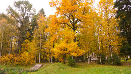 Naklejka premium Autumn season in the city