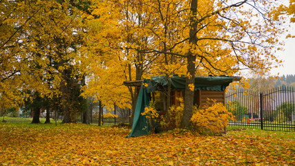 Autumn season in the city