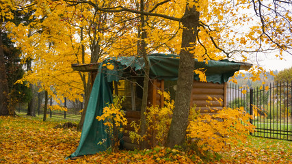 Autumn season in the city