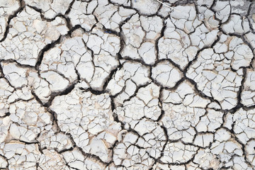 close up cracked clay ground