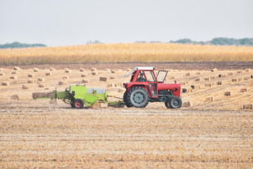 Obraz premium A man with a tractor makes bales of hay in the field