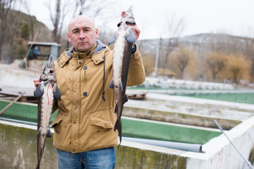 Male with fresh sturgeons in hands on farm outdoors