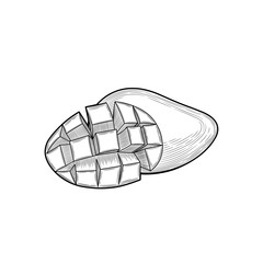 Mango. Half a mango. Fruit crop. Exotic fruit. Illustration. Isolated on white background.