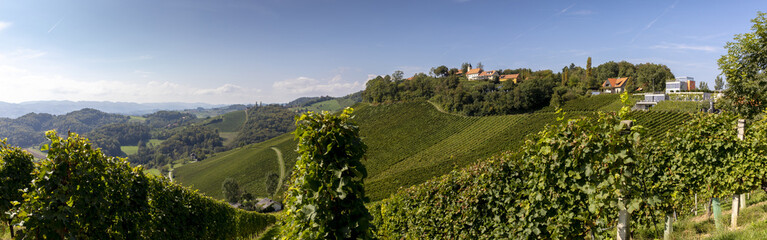 panoramic view vineyard along the south Styrian vine route named suedsteirische weinstrasse in...
