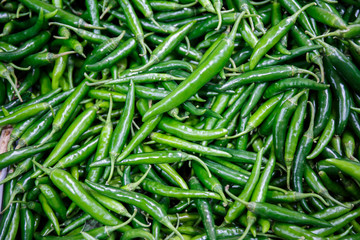 Green Pepper