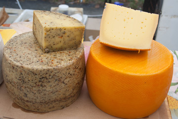 Two different cheese wheels grey with herbs and yellow firm cheese with two triangle trial pieces on the top at the autumn cheese festival