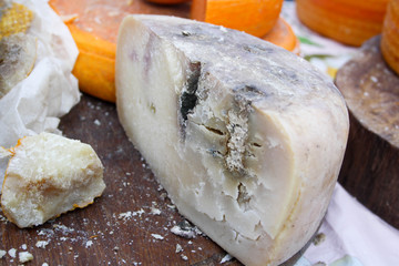 Scarey old goat cheese with craks and mold