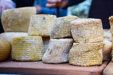 Six cheese cylinders really picturesque