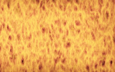 Abstract Fire Background with Flames. Wall of Fire. Glare on the water. 3D illustration