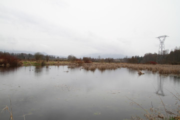 Looking across a small section of wetlands towards the mountains in the distance.