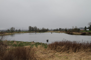 A view of a slow river with a grassy bank in the foreground.