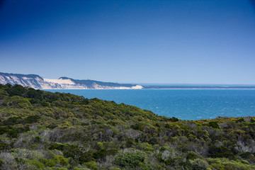 Fototapeta premium Shoreline and beach on a cloudless summer day a Noosa North Shore, Queensland, Australia