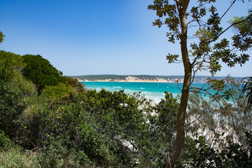 Fototapeta na wymiar Shoreline and beach on a cloudless summer day a Noosa North Shore, Queensland, Australia