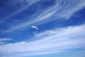 Bright color tandem canopy with two skydivers. Jumpers are flying and prepearing to landing