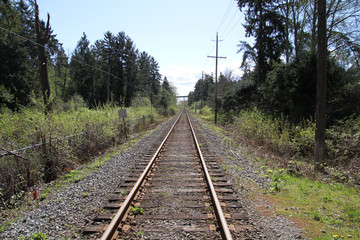 A straight run of railway tracks running between trees