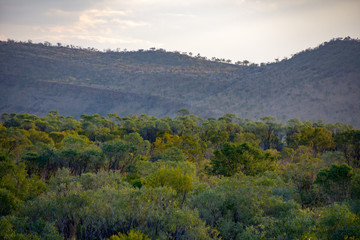 Outback in the Kimberley, Western Australia takenin the late afternoon with trees, rock and hills.