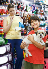 Small boy with  havanese pup while family shopping with mother